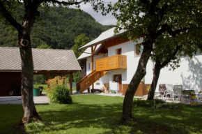 Apartments Markež Bohinjska Bistrica